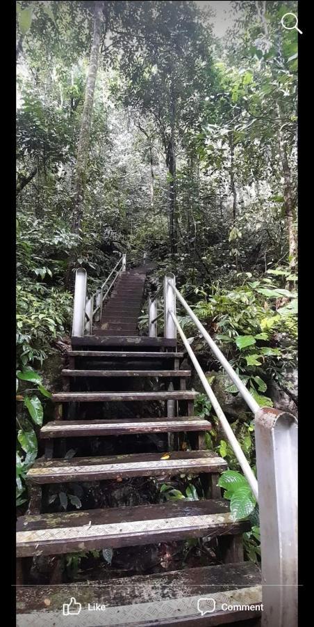 Mulu Homestay 외부 사진